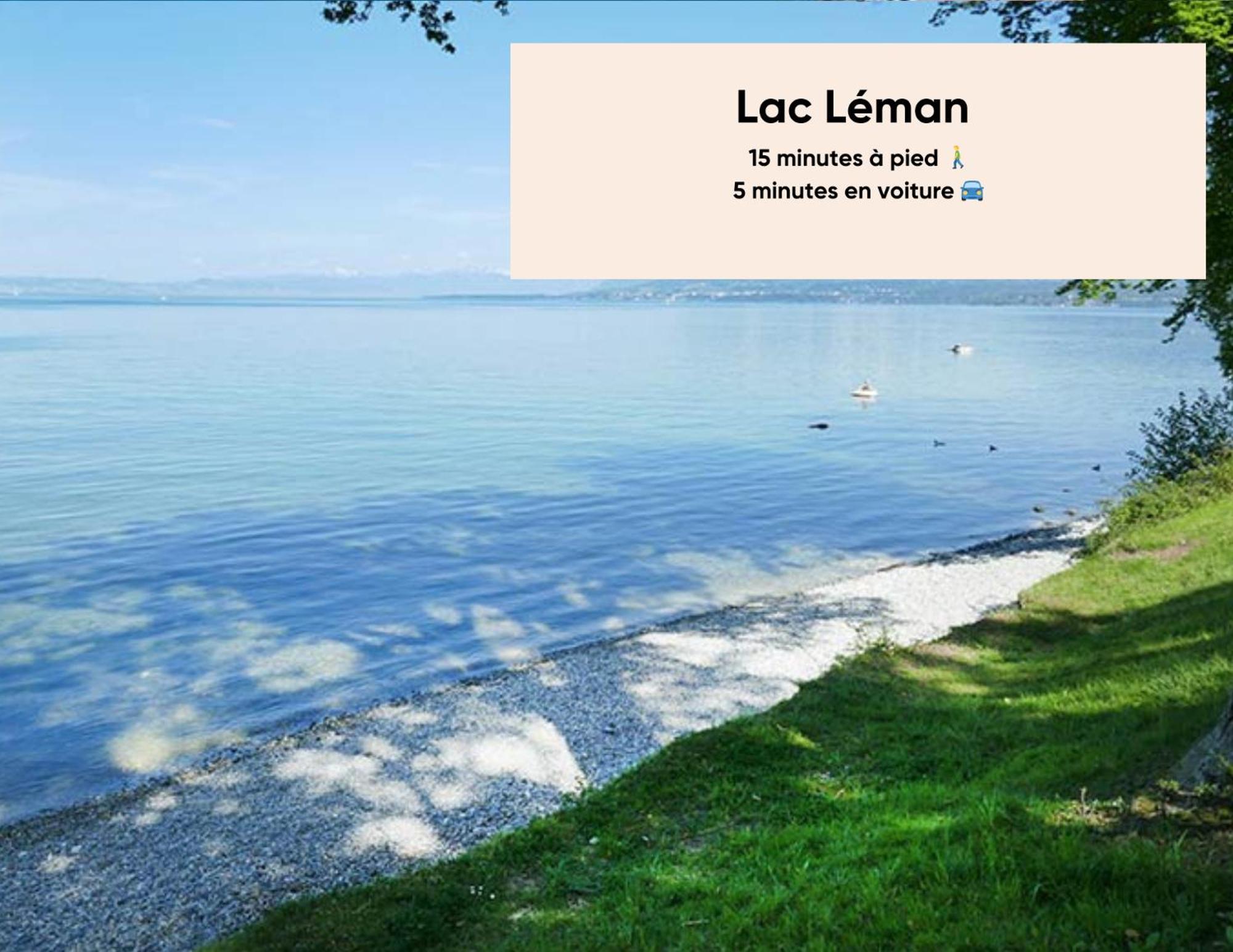 Apartmán Cosy Et Moderne - Dent D'Oche Thonon-les-Bains Exteriér fotografie